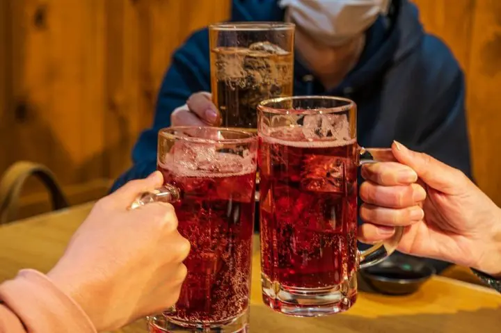 Izakaya Drink Menu: Tired of Wine? Order Some Japanese Fruit Liqueurs