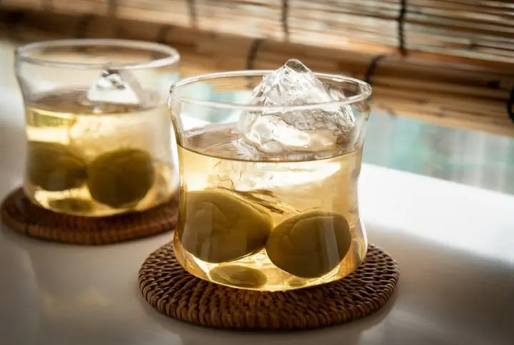 Izakaya Drink Menu: Tired of Wine? Order Some Japanese Fruit Liqueurs