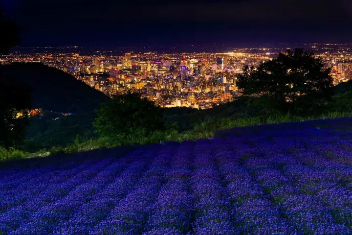 Indahnya “Horomitoge Lavender Garden”, Ladang Lavender di Dalam Kota Sapporo!
