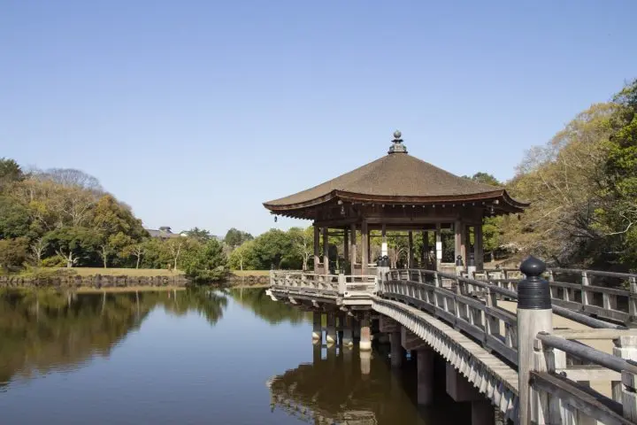 Sushi Wrapped in a Leaf? Try the Persimmon Leaf Sushi in Nara