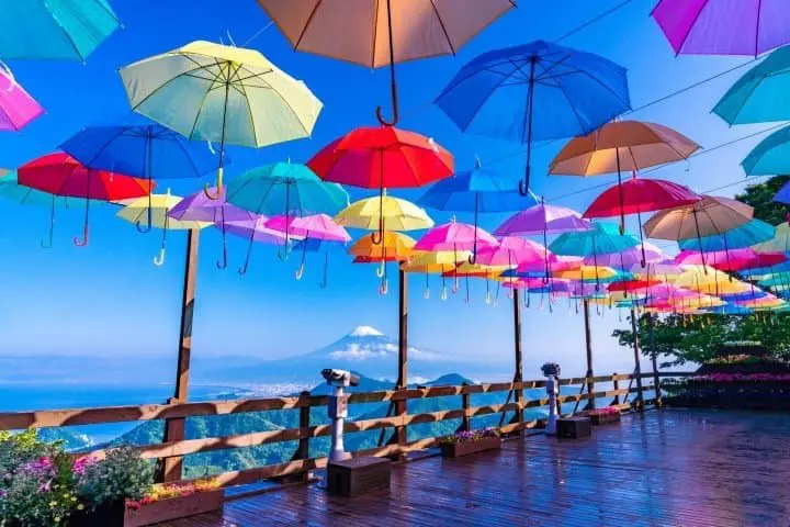 What Exactly is Izu? Introduction to Izu Peninsula, Attractions, and Hot Spring Accommodations