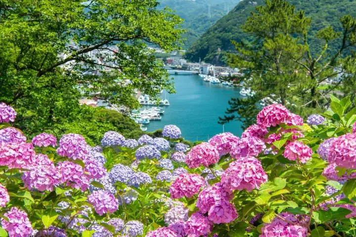 【东京近郊】不只富士山和日本茶!探访静冈深度魅力景点13选