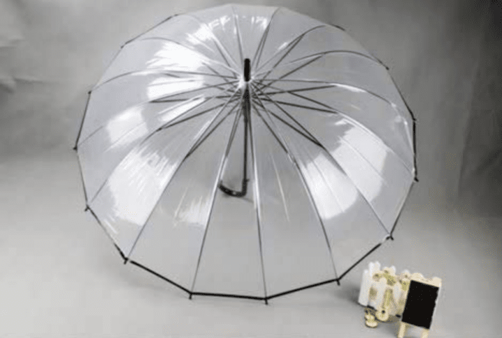 See-Through Umbrella