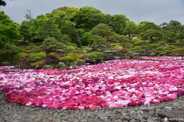 【島根】不只有出雲大社!島根自由行11大必去景點・交通方式・美食攻略