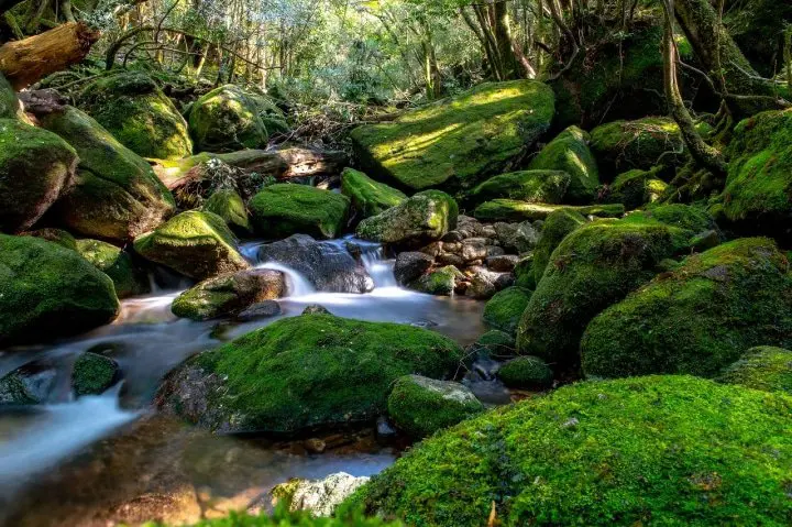 5 of the Best Rainy Season Destinations - As Curated by MATCHA! 