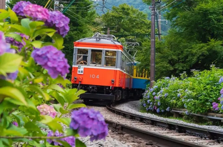 5 of the Best Rainy Season Destinations - As Curated by MATCHA! 