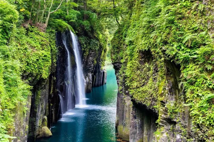 5 of the Best Rainy Season Destinations - As Curated by MATCHA! 