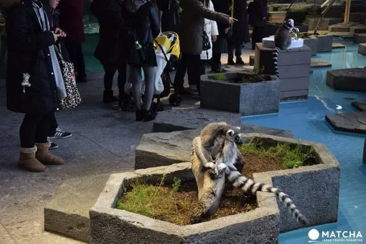 大阪観光完全ガイド。エリア説明、観光スポット38選、グルメ、移動手段などまとめ