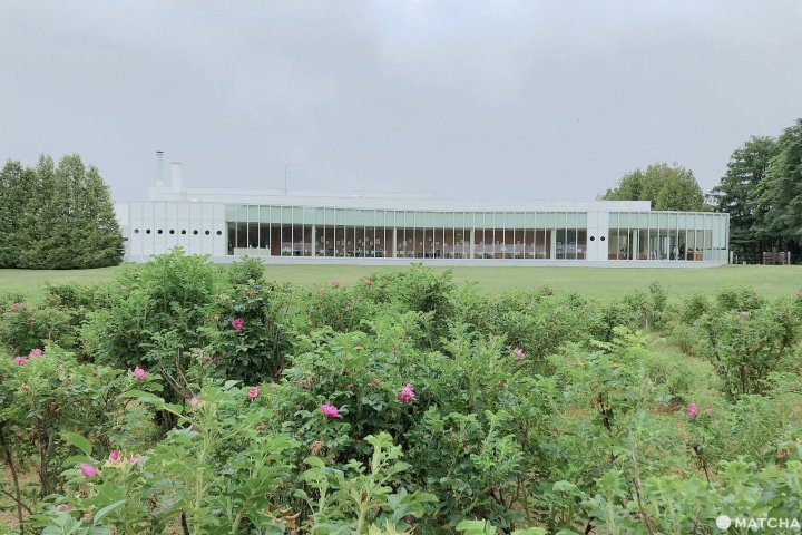 北海道帶廣 到藝術庭園 六花之森 來趟初夏下午茶散步 Matcha 日本線上旅遊觀光雜誌