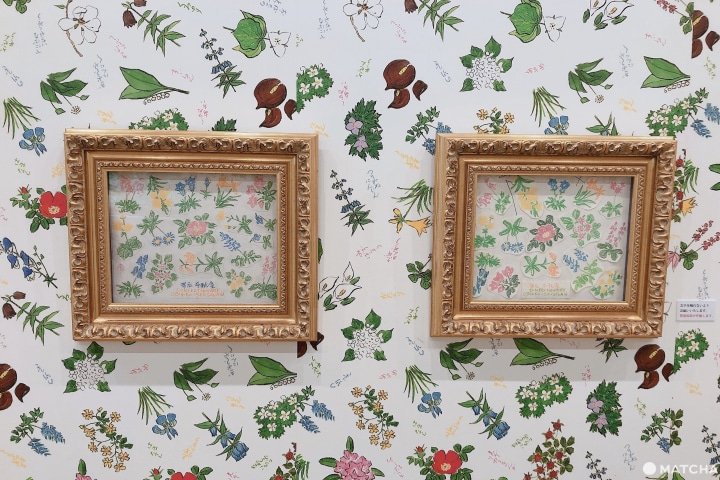 北海道帶廣 到藝術庭園 六花之森 來趟初夏下午茶散步 Matcha 日本線上旅遊觀光雜誌