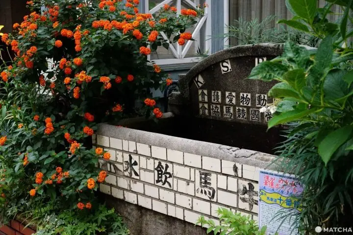 橫濱 馬車道 餐廳