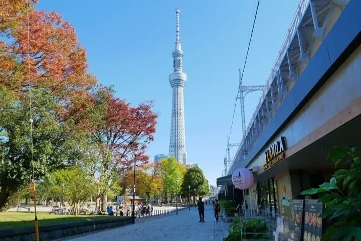 淺草晴空塔周邊美食「沿線食堂」TOKYO mizumachi