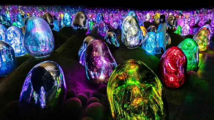 teamLab Botanical Garden Osaka 大阪