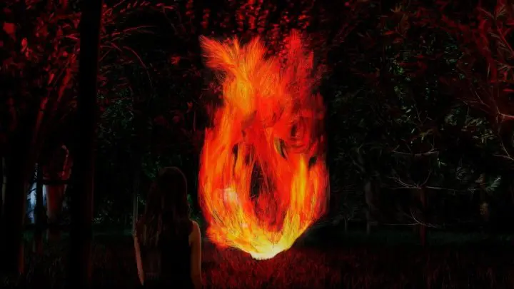 大阪長居植物園 teamLab Botanical Garden Osaka 