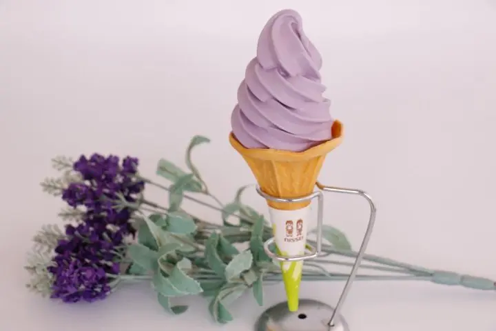 Tambara Lavender Park - 50,000 Lavender Flowers in Bloom Near Tokyo!