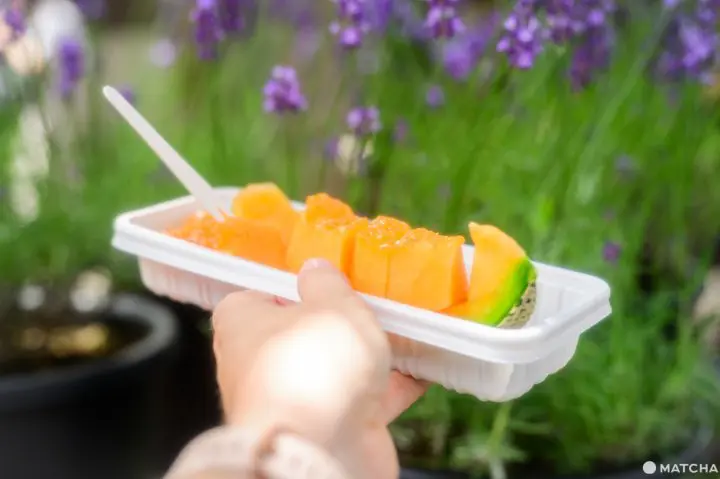 Our Tips for Loving Hokkaido's Lavender