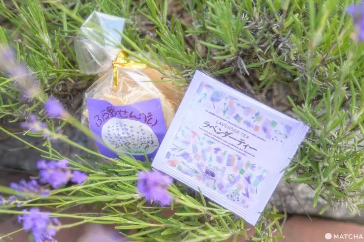 Our Tips for Loving Furano's Lavender