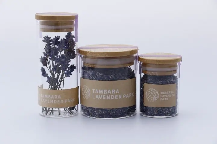 Tambara Lavender Park: 50,000 Lavender Flowers in Bloom Near Tokyo!