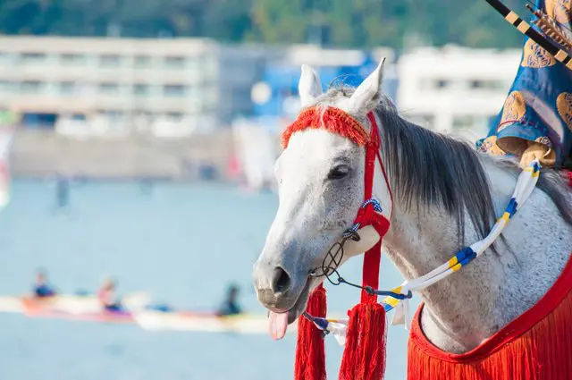 东京出发1小时的小旅游胜地，从吃喝玩乐到交通住宿，抹茶教您攻略「逗子」