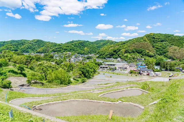 东京出发1小时的小旅游胜地，从吃喝玩乐到交通住宿，抹茶教您攻略「逗子」