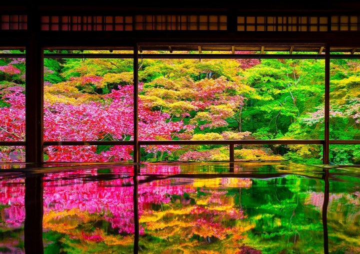 Autumn in Japan 2022 Travel and Weather for SeptemberNovember MATCHA JAPAN TRAVEL WEB MAGAZINE