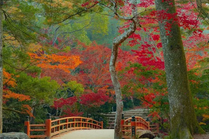 Hiroshima's 6 Most Beautiful Autumn Foliage Spots in 2022