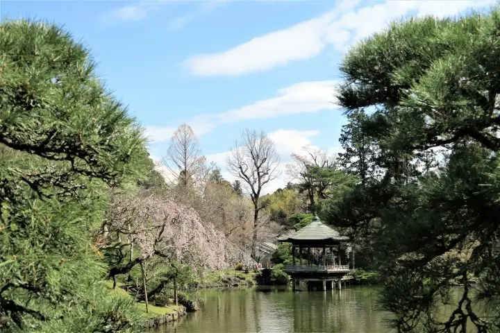 Access the Impressive Naritasan Shinshoji Temple in 10 Minutes From Narita Airport!