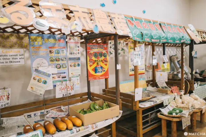 沖縄180°絶景オーシャンビューランチ！うるま市No.1そばとお土産三昧