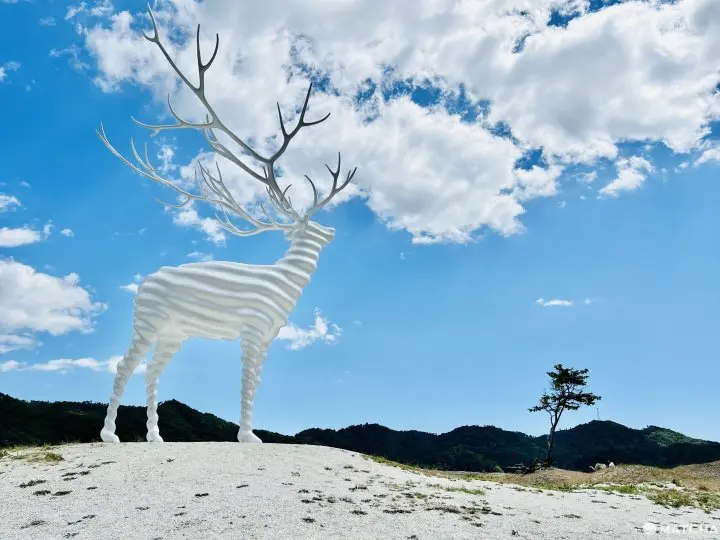 White Deer (Oshika): Kohei Nawa