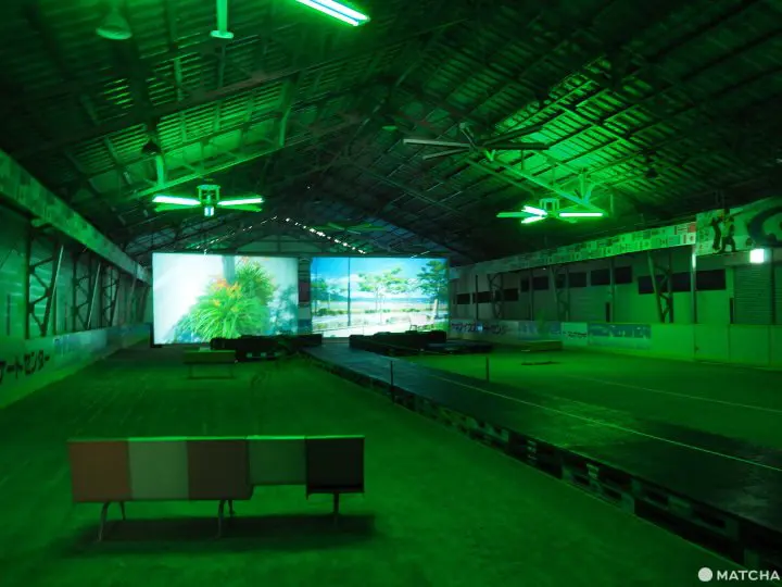 FRESH: Shinjiro Watanabe