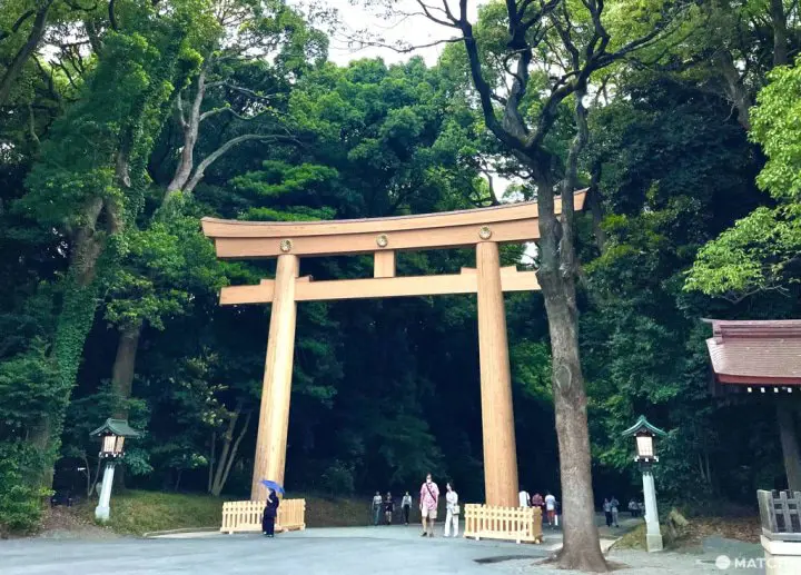 明治神宮 鳥居 2022