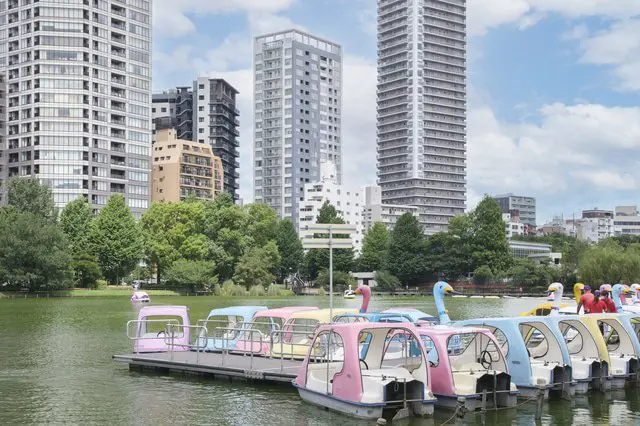 都会のオアシス　上野「不忍池」で憩いのひと時を