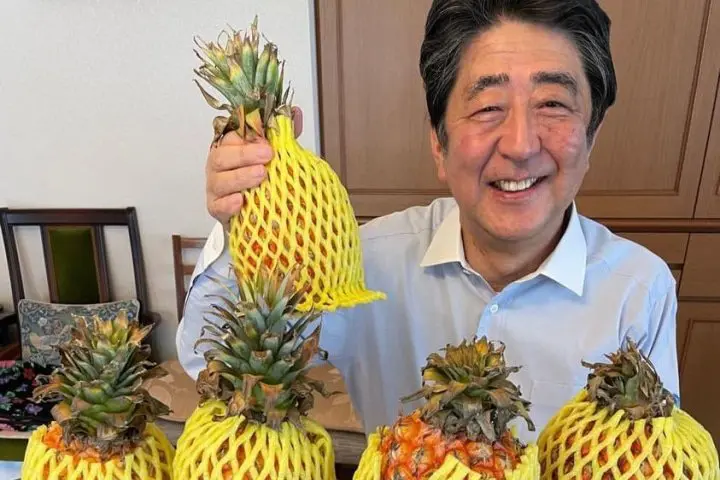 安倍晉三前首相數位獻花企劃