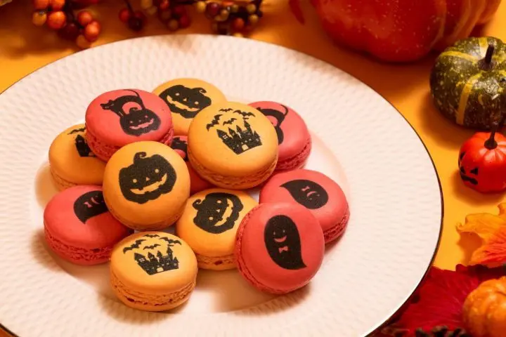 Hakone's Healing Halloween Terraces: Enjoy Cocktails Under the Stars!