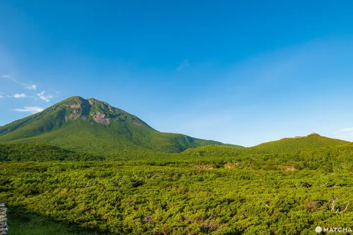 Shiretoko National Park - Nature’s Final Frontier in Japan