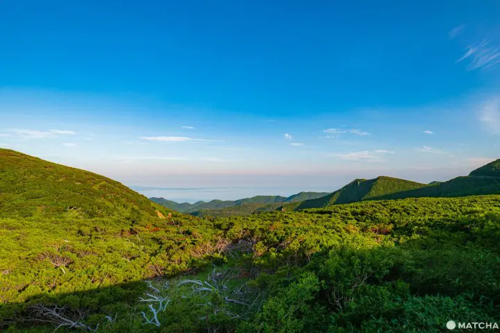 Shiretoko National Park - Nature’s Final Frontier in Japan