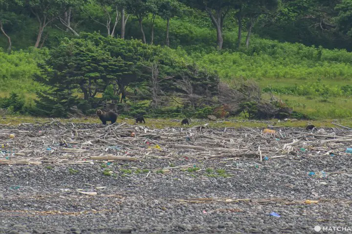 Shiretoko National Park - Nature’s Final Frontier in Japan