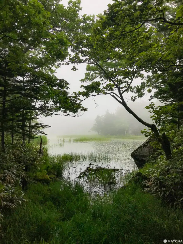Shiretoko National Park - Nature’s Final Frontier in Japan