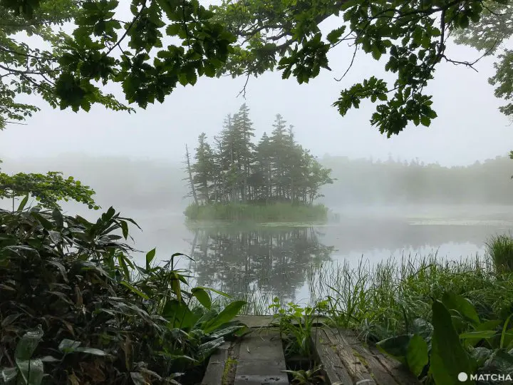 Shiretoko National Park - Nature’s Final Frontier in Japan