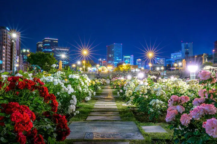 A Garden in the Bustling City? Osaka’s Secret Oasis Is Nakanoshima Park