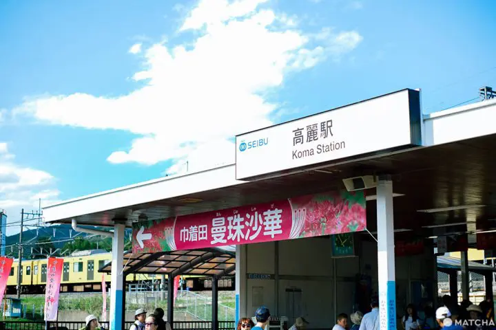 交通 巾着田曼珠沙華