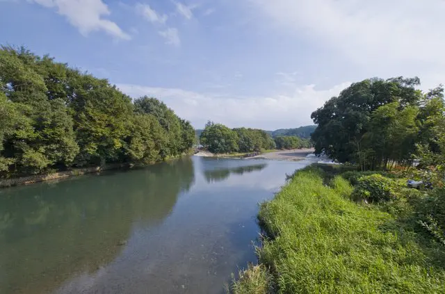 【東京近郊埼玉】見花不見葉，鮮紅彼岸花盛宴