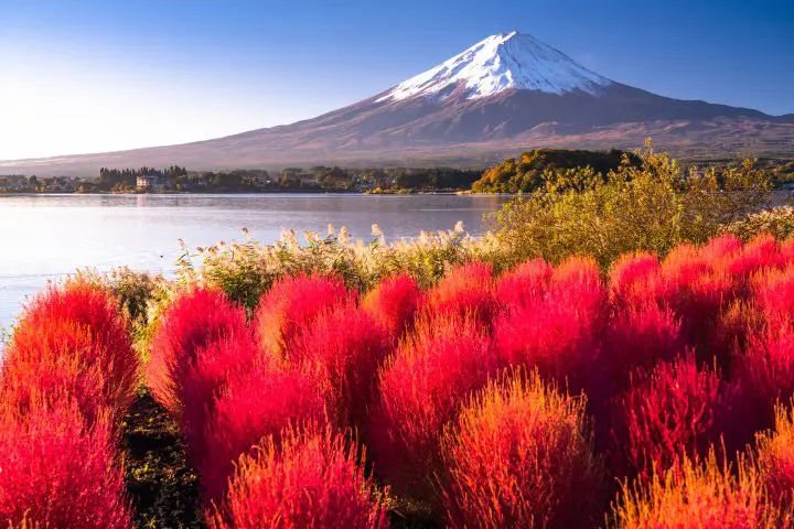 More than maple - The Best Nature Spots to See in Early Autumn around Tokyo and Osaka