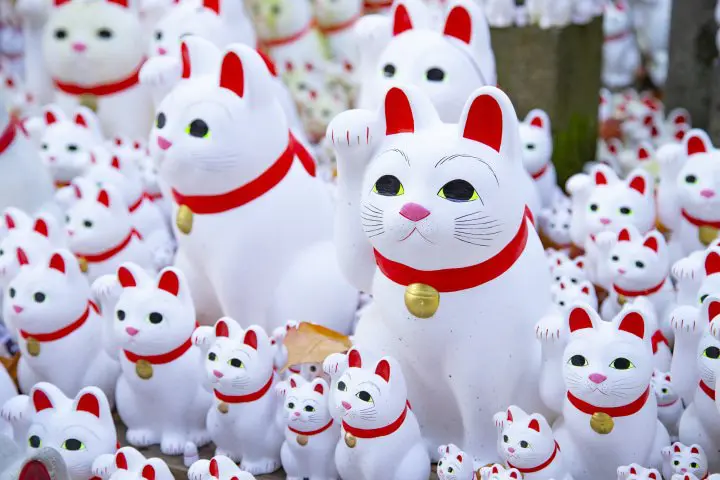 【日本小百科】招财猫