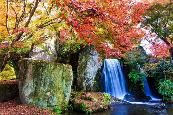 Japan Fall Foliage Forecast