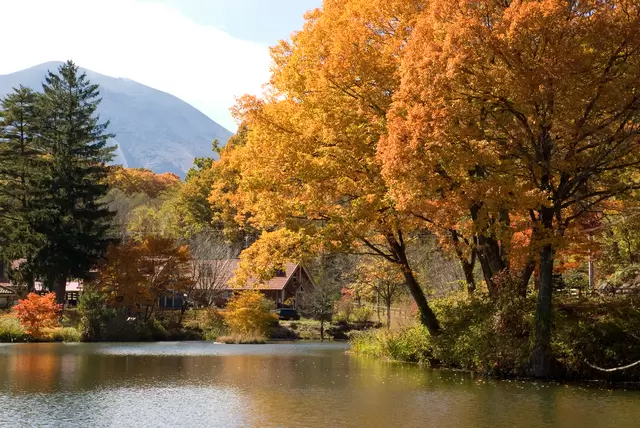 輕井澤 賞楓
