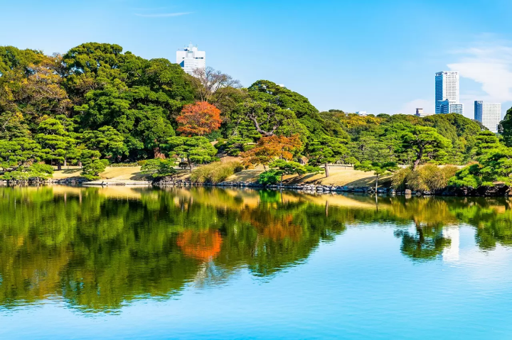 Tokyo Citizen's Day: Free Entrance to Zoos, Museums, and Gardens!