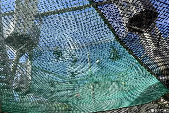 【北九州】朝聖世界最長的盪鞦韆，還能摸袋鼠看水豚——響灘綠地Green Park