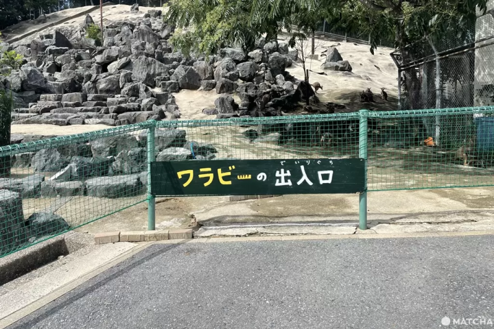 【北九州】朝聖世界最長的盪鞦韆，還能摸袋鼠看水豚——響灘綠地Green Park