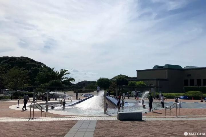 【北九州】朝聖世界最長的盪鞦韆，還能摸袋鼠看水豚——響灘綠地Green Park